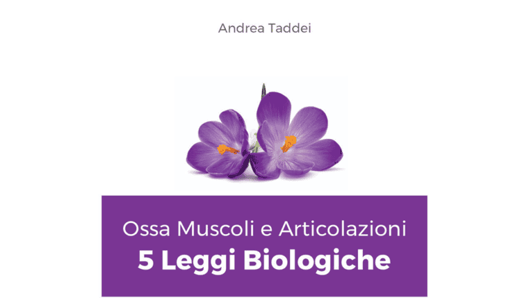 5lb muscoli articolazioni