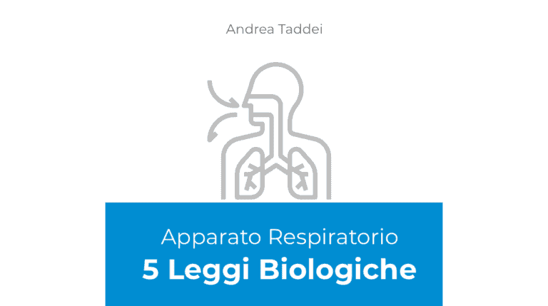 5lb respiratorio