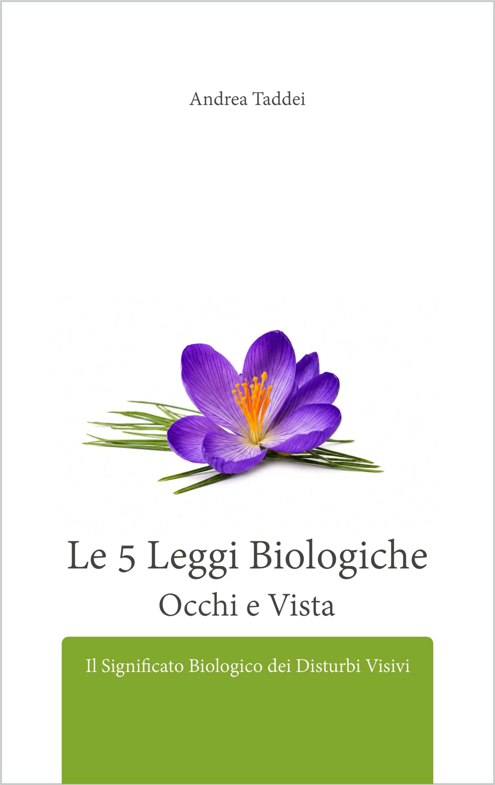 Copertina 5LB Occhi e Vista